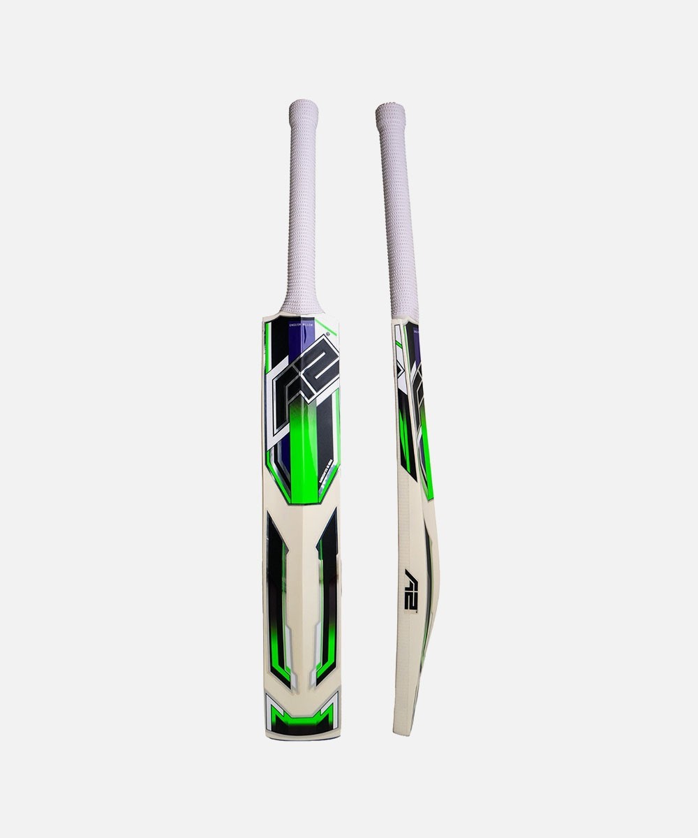 SS Kashmir Willow Impact Cricket Bat