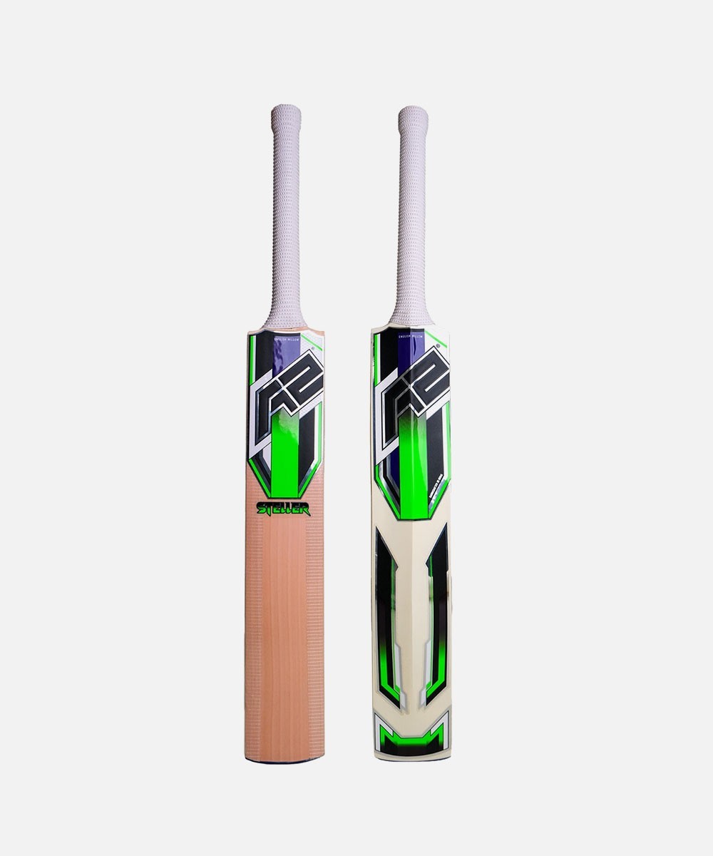 SS Kashmir Willow Impact Cricket Bat