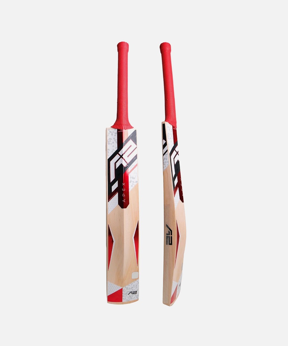 SS Kashmir Willow Impact Cricket Bat