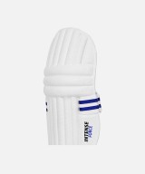 DSC Intense Force Cricket Leg Guard