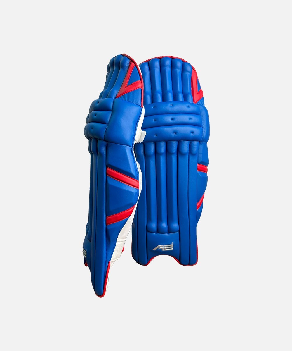 DSC Intense Force Cricket Leg Guard